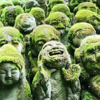 Accompagnement Keikaku Japon juillet 2019 - 1