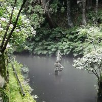 Accompagnement Keikaku Japon juillet 2019 - 1