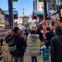 Accompagnement Keikaku Japon février 2020 - 1