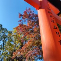 Accompagnement Keikaku Japon décembre 2024 - 1