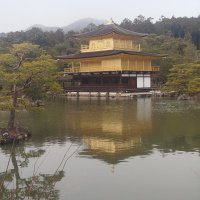 Accompagnement Keikaku Japon février 2025 - 1