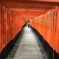 Accompagnement Keikaku Japon août 2017 - 2