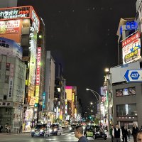 Accompagnement Keikaku Japon novembre 2025 - 2