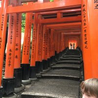 Accompagnement Keikaku Japon septembre 2017 - 3