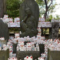 Accompagnement Keikaku Japon août 2023 - 1