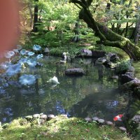 Accompagnement Keikaku Japon octobre 2017 - 1