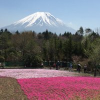 Accompagnement Keikaku Japon mai 2018 - 1