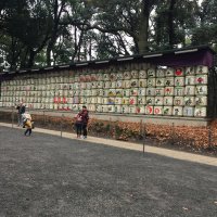 Accompagnement Keikaku Japon janvier 2017 - 2