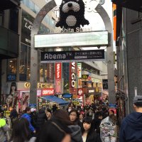 Accompagnement Keikaku Japon janvier 2017 - 3