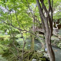 Accompagnement Keikaku Japon décembre 2023 - 2