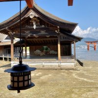 Accompagnement Keikaku Japon décembre 2023 - 1