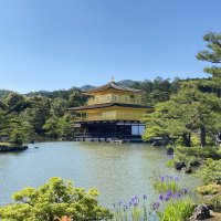 Accompagnement Keikaku Japon juin 2023 - 2