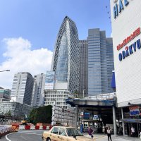 Accompagnement Keikaku Japon octobre 2024 - 2