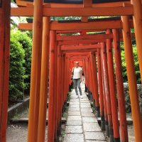 Accompagnement Keikaku Japon juin 2018 - 1