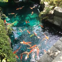 Accompagnement Keikaku Japon juillet 2017 - 2