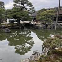 Accompagnement Keikaku Japon janvier 2025 - 2