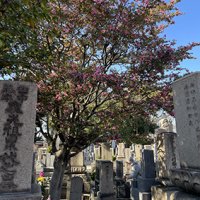 Accompagnement Keikaku Japon janvier 2024 - 1