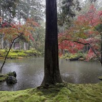 Accompagnement Keikaku Japon novembre 2025 - 2
