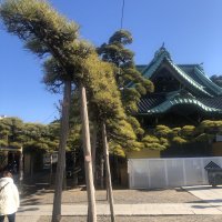 Accompagnement Keikaku Japon janvier 2024 - 1