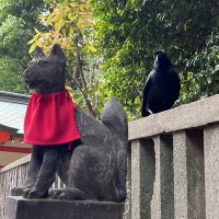 Accompagnement Keikaku Japon mai 2025 - 1