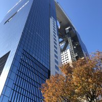 Accompagnement Keikaku Japon décembre 2023 - 1