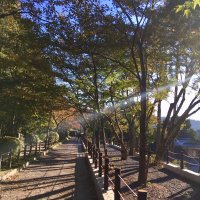 Accompagnement Keikaku Japon novembre 2017 - 1