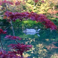 Accompagnement Keikaku Japon novembre 2017 - 2
