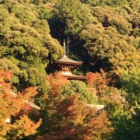 Accompagnement Keikaku Japon novembre 2017 - 3