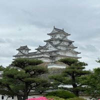 Accompagnement Keikaku Japon juin 2023 - 3