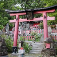 Accompagnement Keikaku Japon mai 2019 - 2