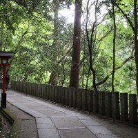 Accompagnement Keikaku Japon mai 2019 - 3
