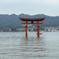 Accompagnement Keikaku Japon juin 2023 - 2