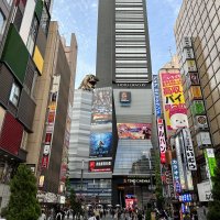 Accompagnement Keikaku Japon juin 2023 - 1