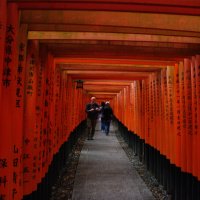 Accompagnement Keikaku Japon novembre 2019 - 1