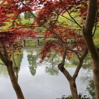 Accompagnement Keikaku Japon avril 2018 - 1