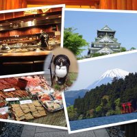 Accompagnement Keikaku Japon juin 2018 - 2