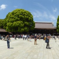 Accompagnement Keikaku Japon mai 2018 - 1