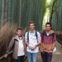 Accompagnement Keikaku Japon avril 2016 - 1