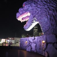 Accompagnement Keikaku Japon juin 2018 - 2