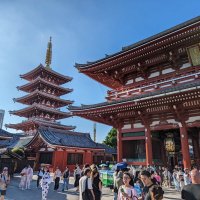 Accompagnement Keikaku Japon février 2024 - 3