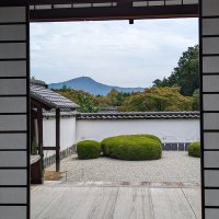 Accompagnement Keikaku Japon janvier 2024 - 3
