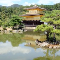 Accompagnement Keikaku Japon octobre 2019 - 1