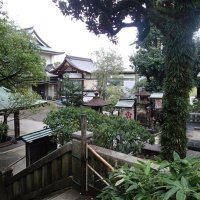 Accompagnement Keikaku Japon novembre 2017 - 2