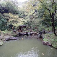 Accompagnement Keikaku Japon novembre 2017 - 3