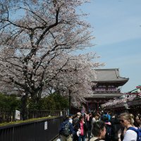 Accompagnement Keikaku Japon avril 2017 - 3