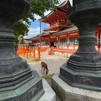 Accompagnement Keikaku Japon octobre 2025 - 2